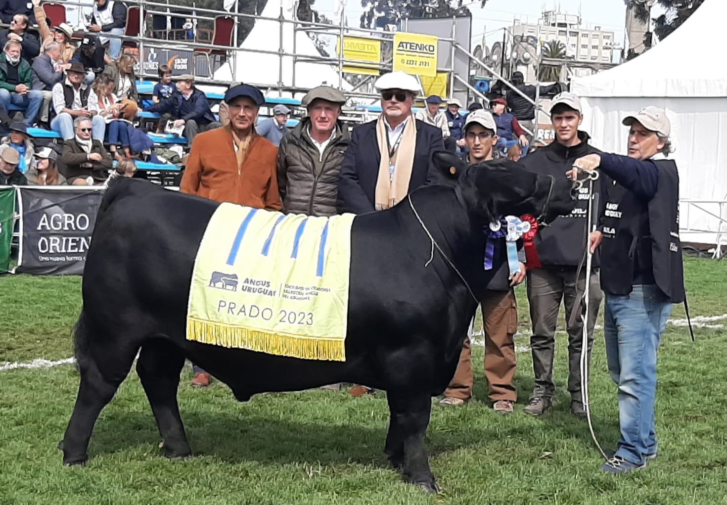 Vaca ganadora de premio